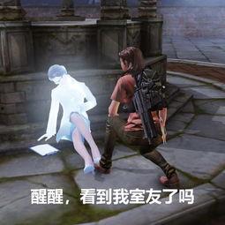 娱乐圈吃瓜游戏推荐,揭秘明星背后的那些“瓜”