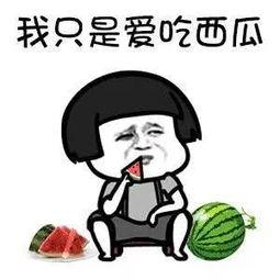 娱乐圈吃瓜文案搞笑,笑料百出，揭秘明星们的“欢乐喜剧人”